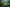 𝗧𝗵𝗲 𝗧𝗮𝗹𝗲𝗻𝘁 𝗗𝗲𝘃𝗲𝗹𝗼𝗽𝗺𝗲𝗻𝘁 𝗣𝗮𝗿𝗮𝗱𝗼𝘅